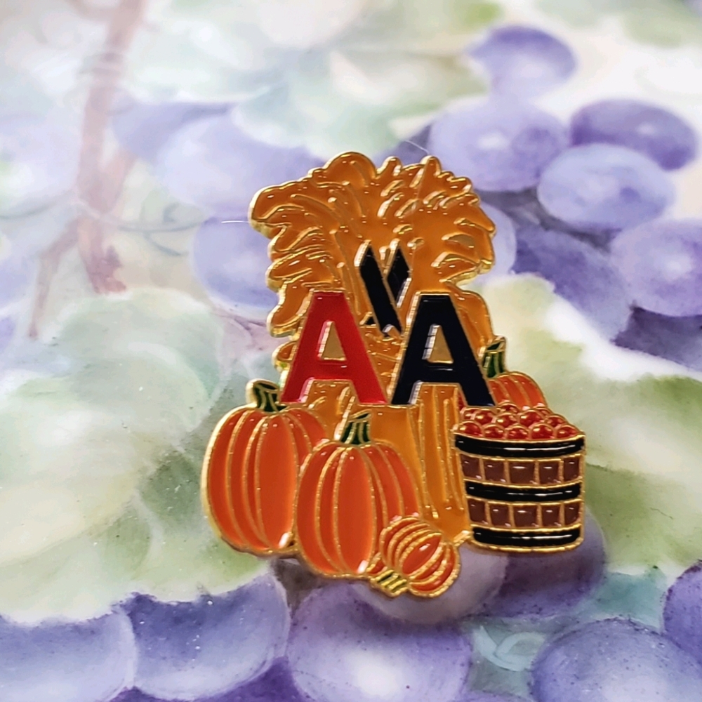 AMERICAN AIRLINES Legacy logo Autumn pumpkin seasonal Holiday pin Thanksgiving - Picture 3 of 5